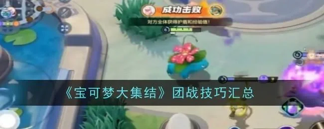 宝可梦大集结团战有哪些技巧