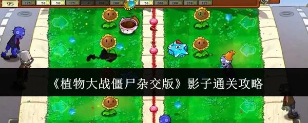 植物大战僵尸杂交版影子通关攻略