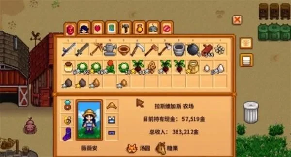 星露谷物语物品栏怎么扩充?