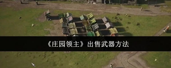 庄园领主怎么出售武器,附方法