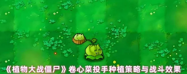 植物大战僵尸卷心菜投手种植策略与战斗效果