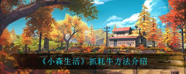 小森生活抓耗牛方法