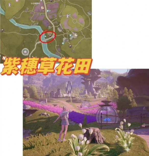 无限暖暖35个拍照点位置汇总 无限暖暖35个拍照点位置汇总