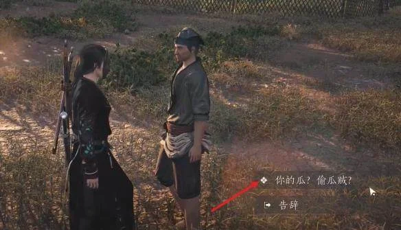 燕云十六声偷瓜之贼任务完成攻略