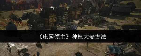 庄园领主怎么种植大麦,附方法