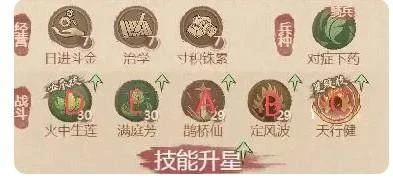 这城有良田药师僚属技能升星怎么选