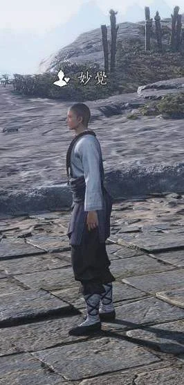 佛光顶妙觉 NPC 场景参照