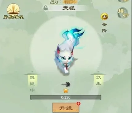 问剑长生灵兽培养攻略 问剑长生灵兽培养攻略