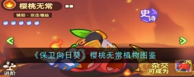 保卫向日葵樱桃无常植物图鉴