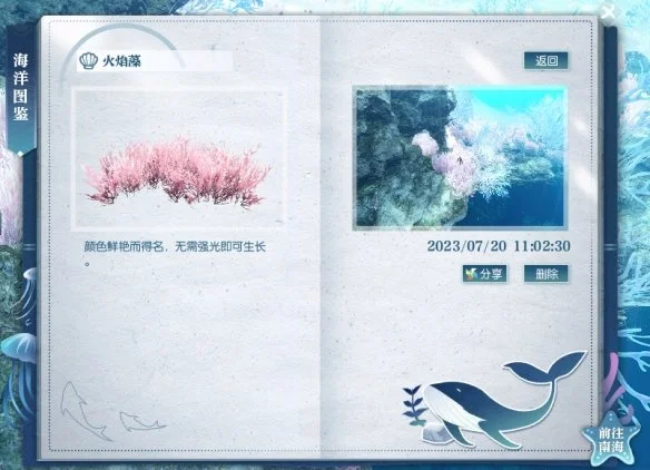 逆水寒手游火焰藻在哪?