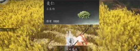 燕云十六声滹沱麦子成就攻略，获取方法与位置