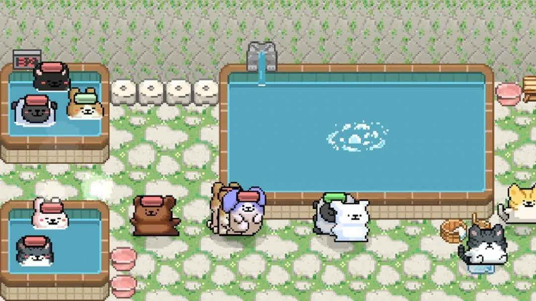 模拟游戏《动物温泉》Steam页面上线,明年发售 模拟游戏《动物温泉》Steam页面上线,明年发售