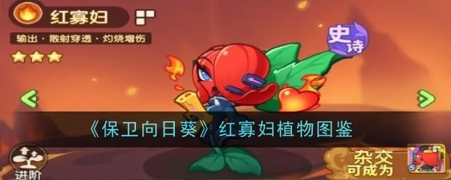 保卫向日葵红寡妇植物图鉴