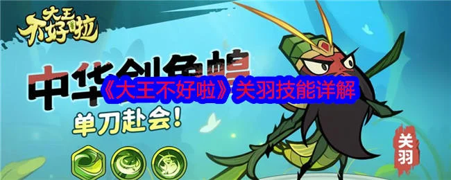 大王不好啦关羽技能详解