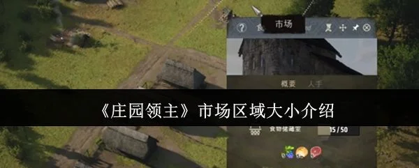 庄园领主市场区域有多大?