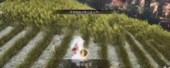 燕云十六声滹沱麦子成就攻略，获取方法与位置