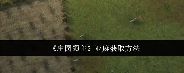 庄园领主亚麻怎么获取,附方法