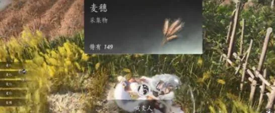 燕云十六声滹沱麦子成就攻略，获取方法与位置