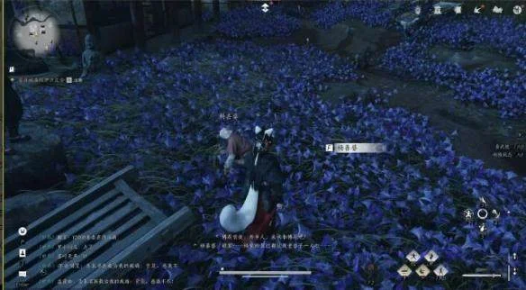 燕云十六声业火不熄任务怎么完成?