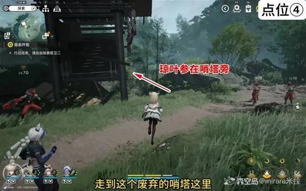 明日方舟终末地琼叶参采集攻略,全位置分布图与路线 明日方舟终末地琼叶参采集攻略,全位置分布图与路线
