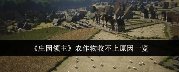 庄园领主农作物收不上是什么原因?