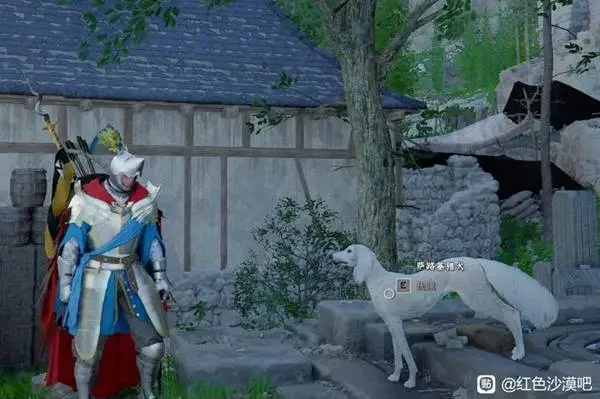 红色沙漠萨路基猎犬在哪，详细位置坐标与寻找攻略