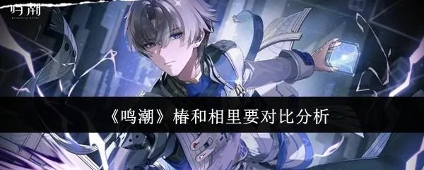 鸣潮椿和相里要哪个好?