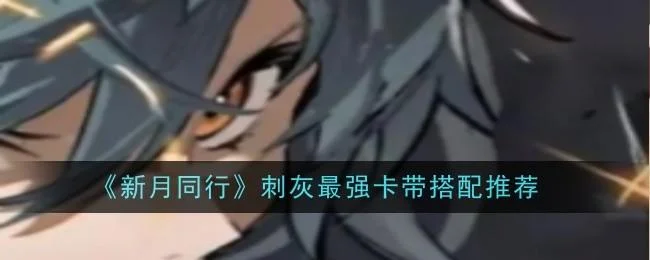 新月同行刺灰最强卡带搭配推荐