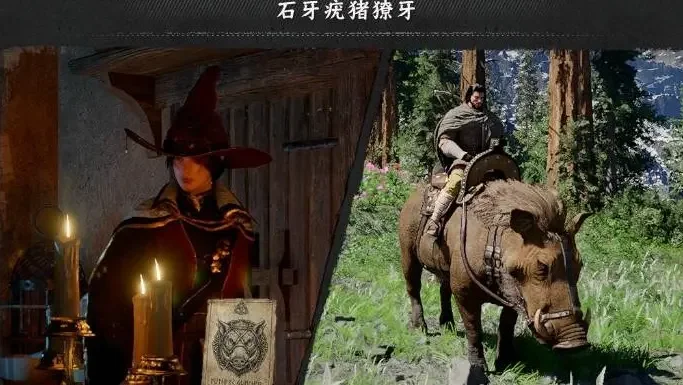 红色沙漠石牙疣猪坐骑怎么获得,位置坐标及攻略 红色沙漠石牙疣猪坐骑怎么获得,位置坐标及攻略