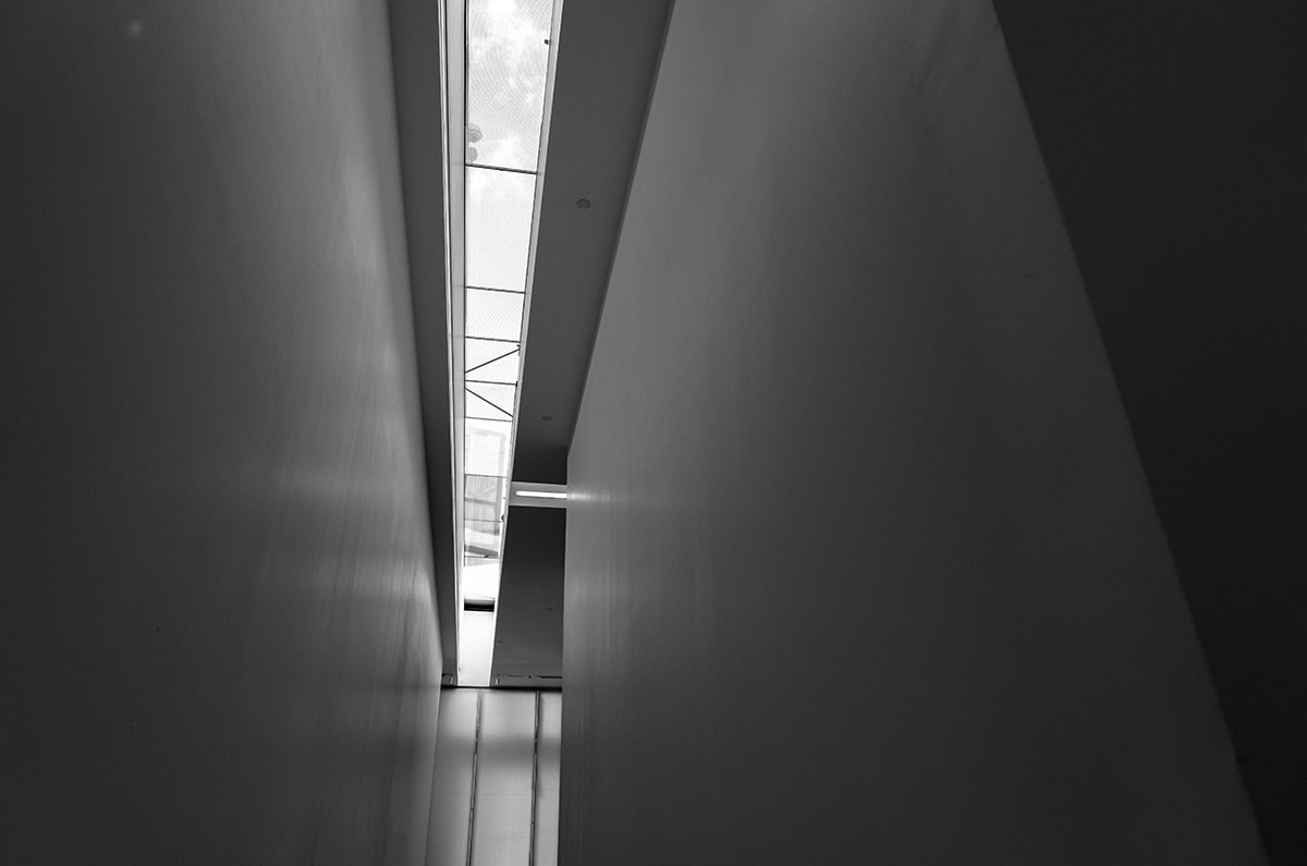 生存33天齐天大圣技能详解，玩法攻略